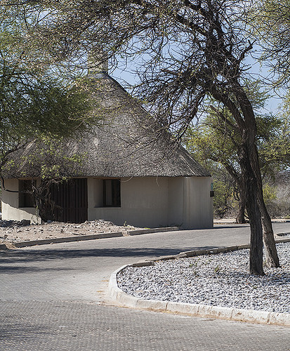 bungalows en Etosha N.P. Circular, construida en obra, con techo de paja, algunos árboles alrededor.