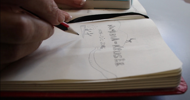 32143443220_2c1904cdc3_z