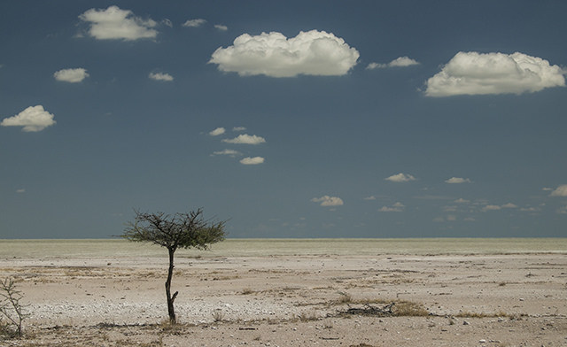 32480009416_fc1b96d3cb_z