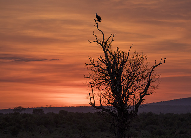 32480027816_e194177182_z