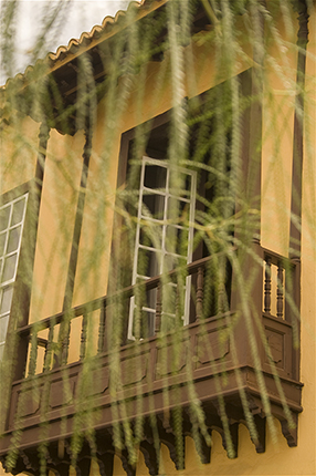 15-Garachico-Teno (22).jpg