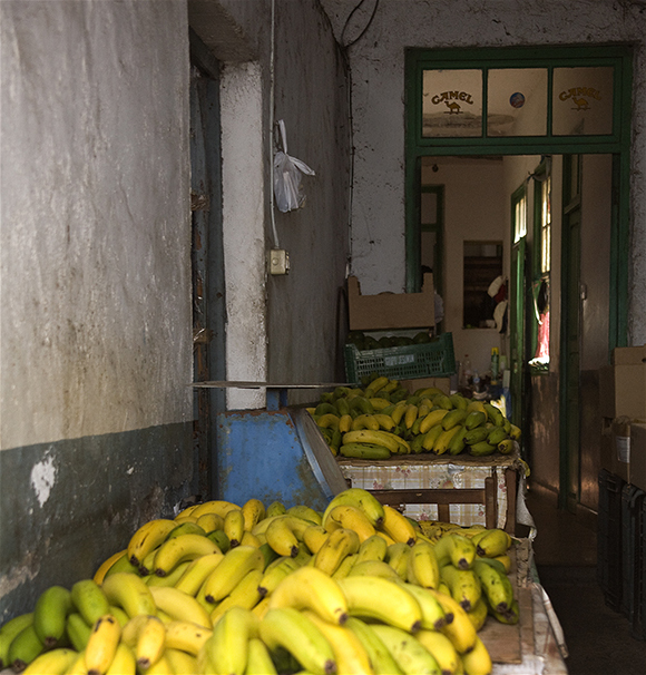 15-Garachico-Teno (24).jpg