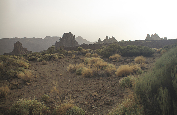 15-Garachico-Teno (6).jpg