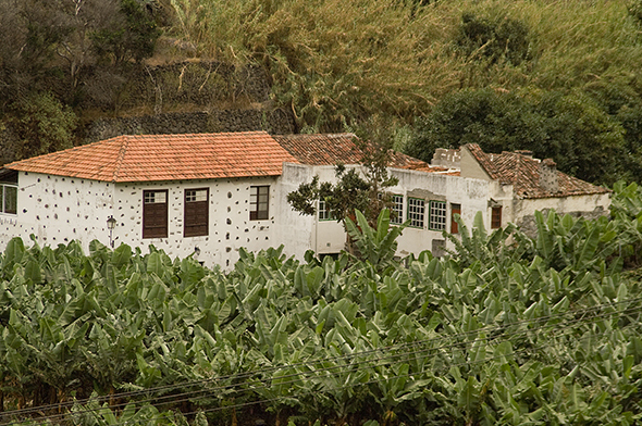 18-Ida Gomera (10).jpg