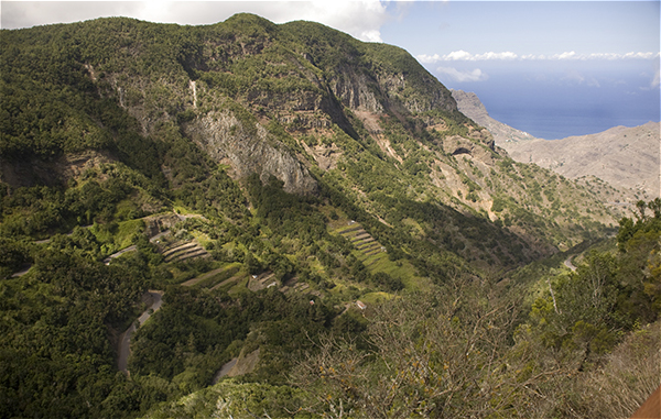 19-Gomera (2).jpg