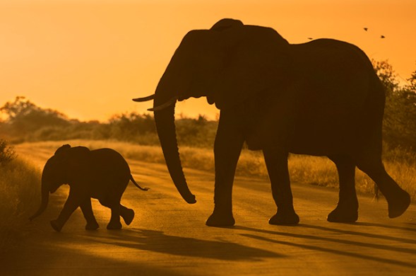 33093642554_7cea82796e_o