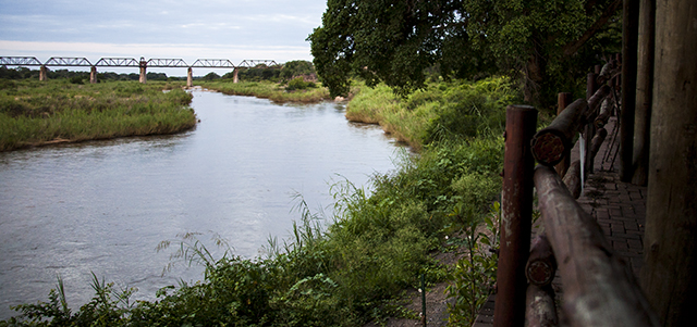 33554614220_003790a3c0_o