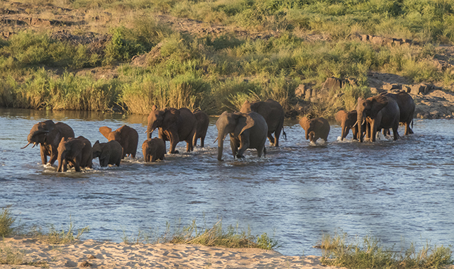 33779398672_05aaea499c_o