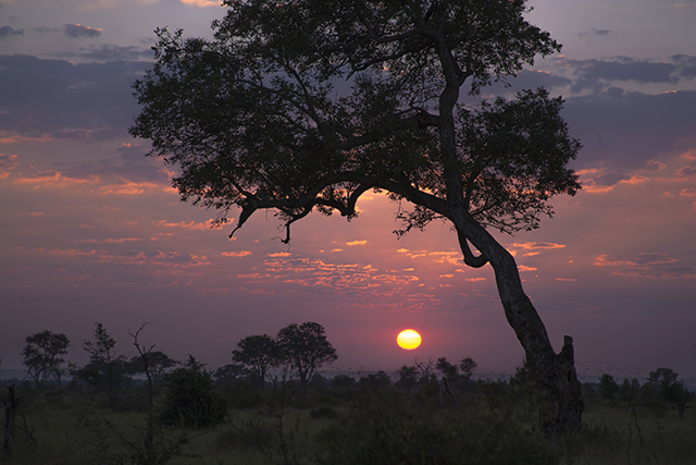 33898775556_481779133a_o