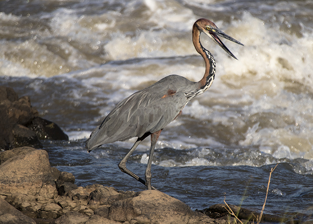 33936941555_193f3d334e_o