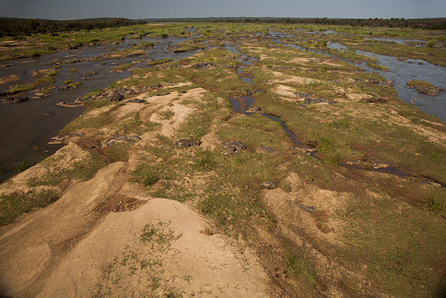 Olifants river panoramic view Kruger Sudafrica