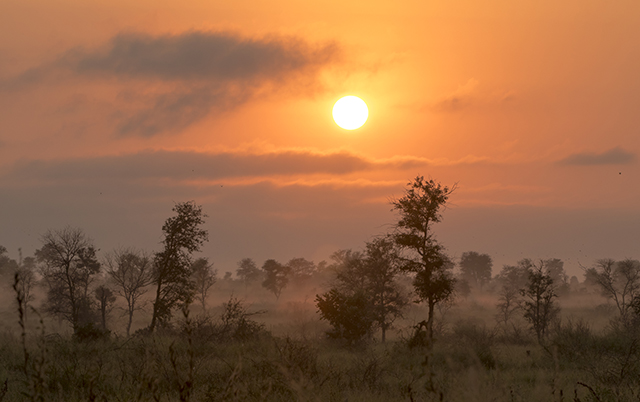 33937014995_18b4d5124f_o