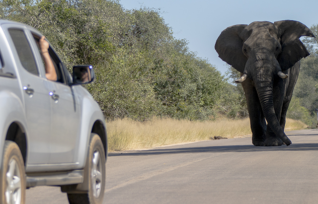 34026233795_b39143d985_o