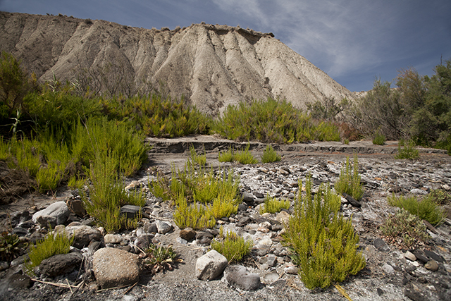 Trails desierto de Tabernas 