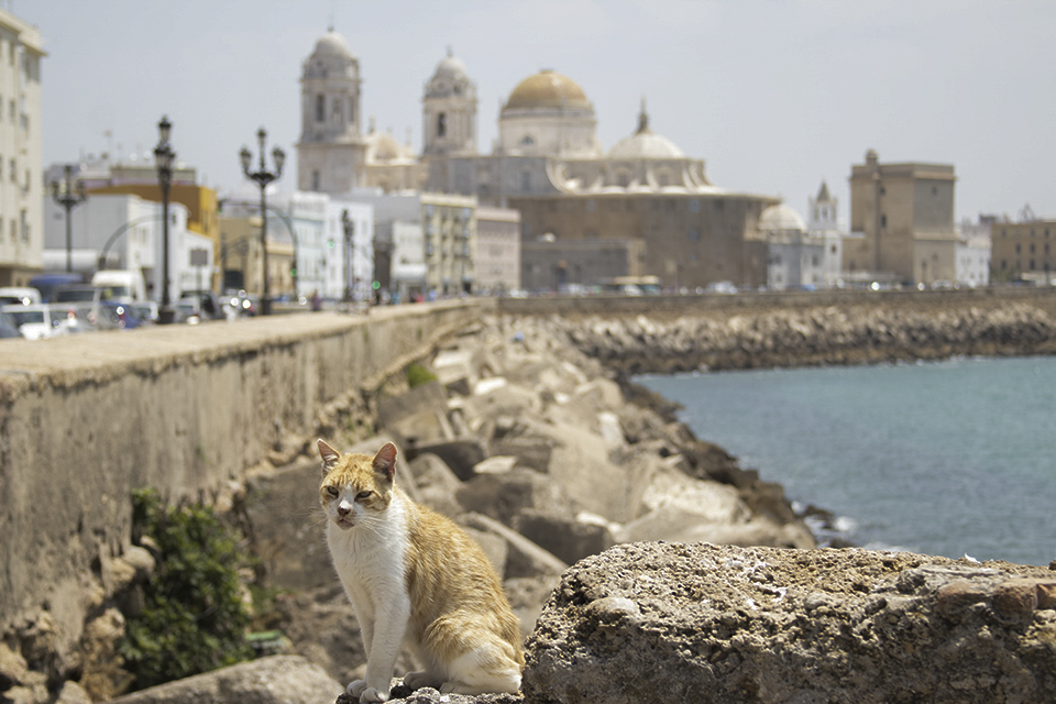 Catedral de Cádiz Te cuento de viajes 