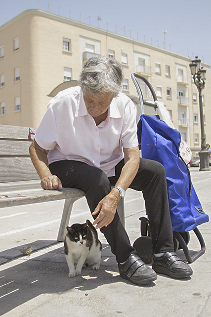 fotografía gatos callejeros Cádiz 