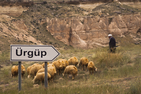 _MG_1855_2 copia.jpg