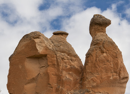 _MG_2501_2 copia.jpg