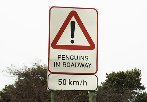 señal peligro pingüinos, Sudáfrica