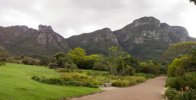 Jardín botánico Kirstenbosch Cape Town