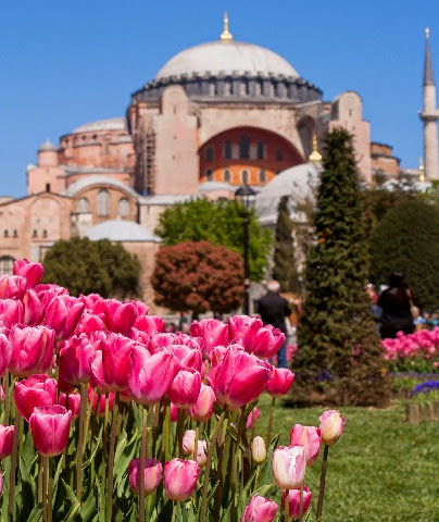 Hagia sofia estambul tulipanes festival