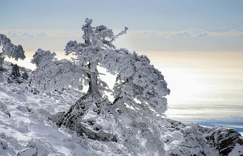 35677194093_1675d614f4