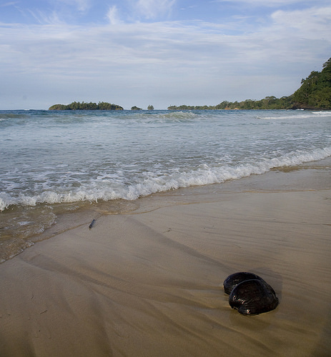Isla de Bastimentos, Red frog beach Te cuento de viajes