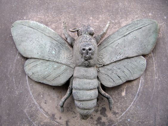 maiposa de la muerte fuente Pinterest 25.media.tumblr.com