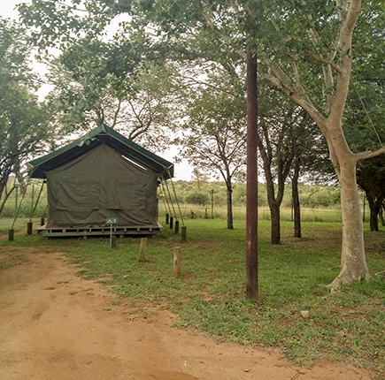 IMG_20190330_174634 copia.jpg