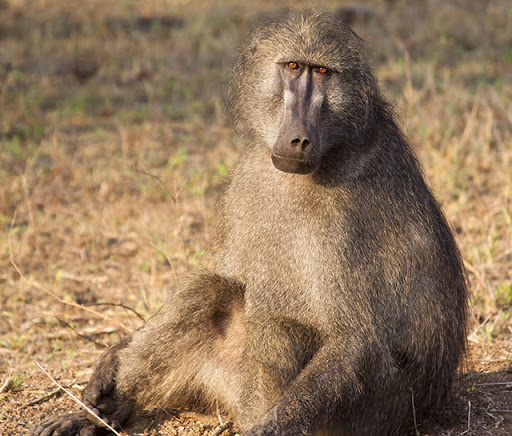 _MG_3239_2 copia.jpg