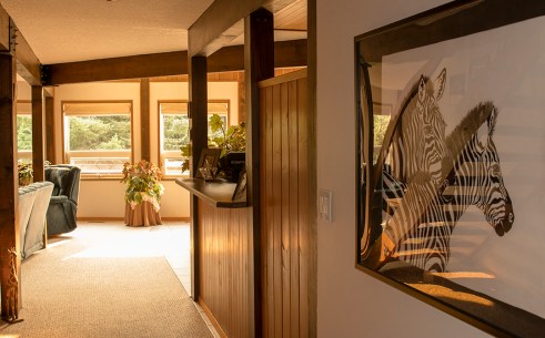 moon &amp; sixpence zebras