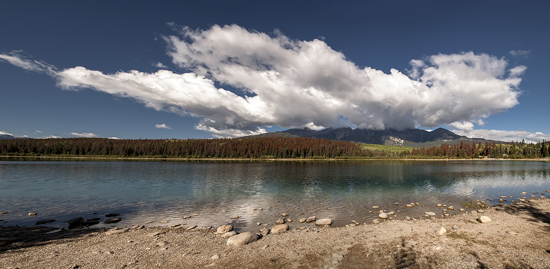 Untitled_Panorama8 copy.jpg