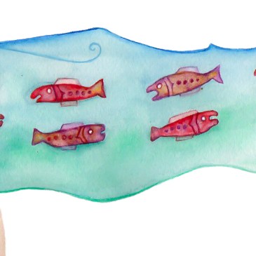 Ilustración salmones viaje Canada