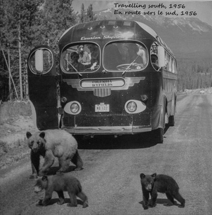 Fotografia antigua Icefield parkway