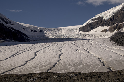 Athabasca glacier