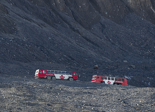 Glacier bus Icefield
