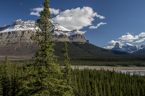 icefield parkway