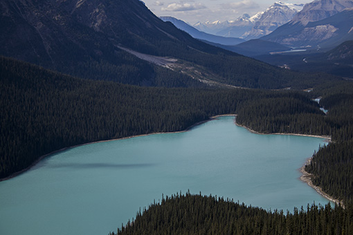 Peyto Lake