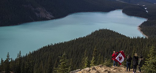 Peyto lake flag inoportuna