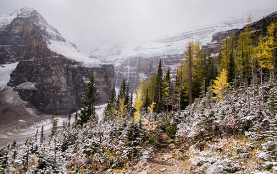 Sendero Six Glaciers Lake Louise