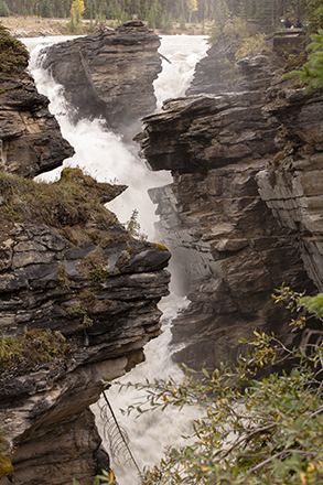 athabasca falls cañon