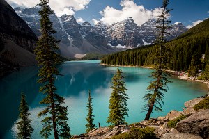 _MG_9205 copy - copia