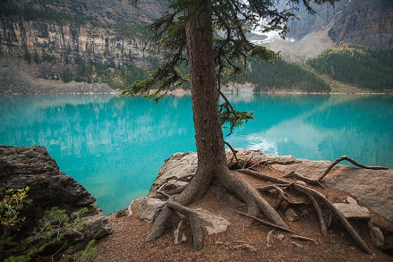 Moraine Lake