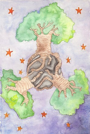 Baobads el principito