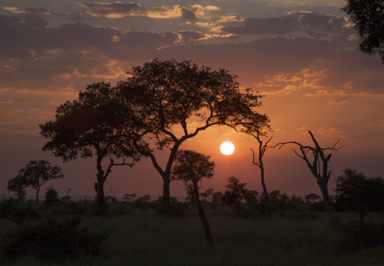 amanecer en Satara. Kruger N. P. Sudáfrica