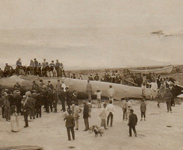 Foto 1921 Ballenera del Estrecho (Algeciras, Cádiz) Te cuento de viajes CVT