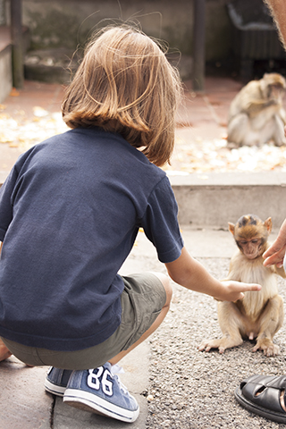 gribraltar_086 copia