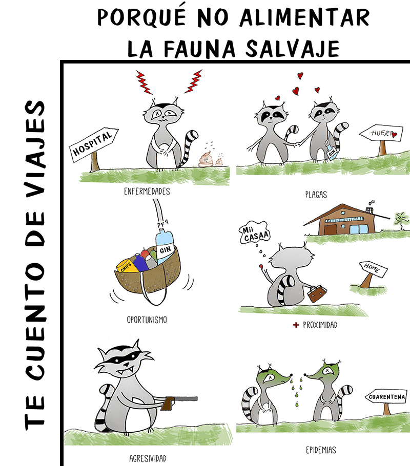 ilustración turismo responsable con fauna