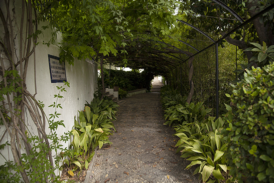 paseando por el carmen de la victoria o de los cipreses en el barrio del Albaicín