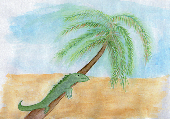 ilustrando en los viajes